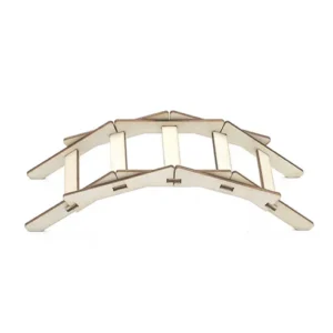 DIY Bally's Bridge STEM Kit Bally′s Bridge Science Experiment DIY Stem Kit