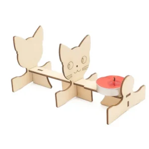 DIY Pinhole STEM Kit Science Experiment Model Kit Pinhole Imaging