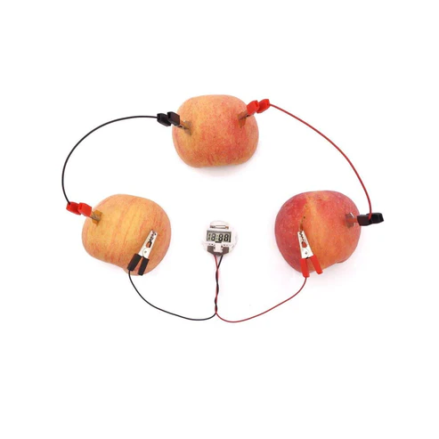 Fruit Battery-Potato Alarm Clock -1 Set DIY Fruit Battery-Potato Alarm Clock Educational Sciences Toys for Experiment